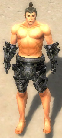 File:Warrior Obsidian armor m gray front arms legs.jpg