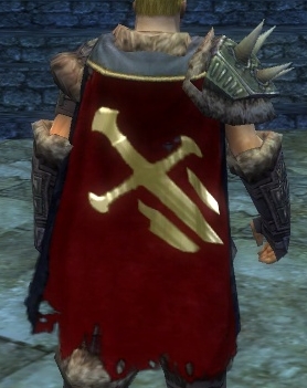 File:Guild Unexpected Heroes cape.jpg
