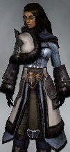 File:Screenshot Ranger Norn armor f dyed Silver.jpg