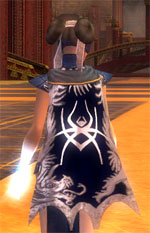 File:Guild Dont Mess With The Don cape.jpg