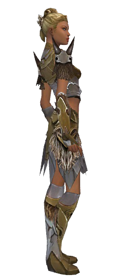 File:Paragon Norn armor f dyed right.png