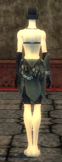 File:Ritualist Kurzick armor f gray back arms legs.jpg