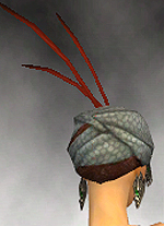 Ritualist Asuran armor f gray back head.jpg