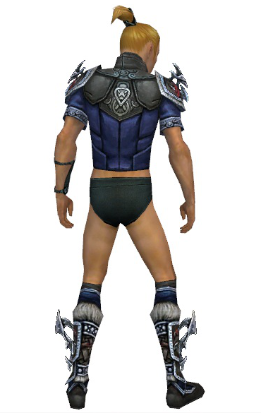File:Assassin Norn armor m gray back chest feet.png