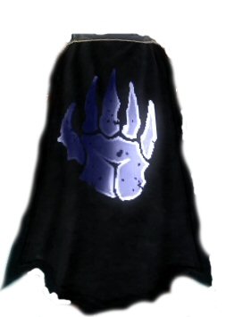 Guild Band Of Thee Blue Hand cape.jpg