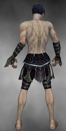 File:Necromancer Elite Cabal armor m gray back arms legs.jpg