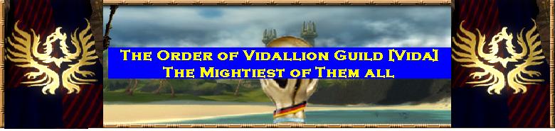 Guild Order Of Vidallion banner.jpg