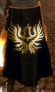 File:Guild The Imperial Guards Elite Newcape.jpg