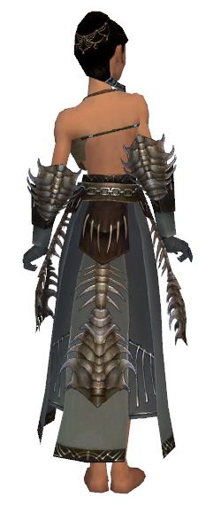 File:Dervish Primeval armor f gray back arms legs.png