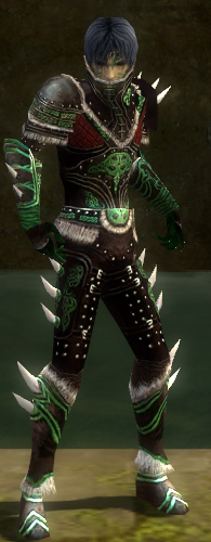 File:Necromancer Norn armor m dyed front.jpg