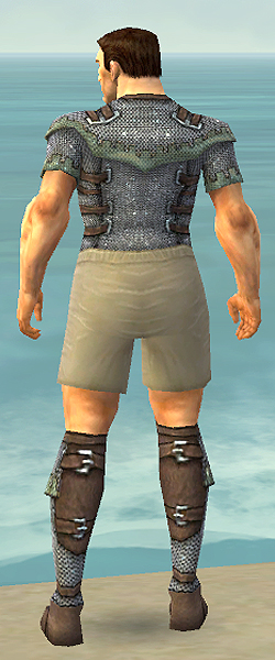 File:Warrior Tyrian armor m gray back chest feet.jpg