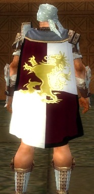 File:Guild Hall Of Exiled Kings cape.jpg
