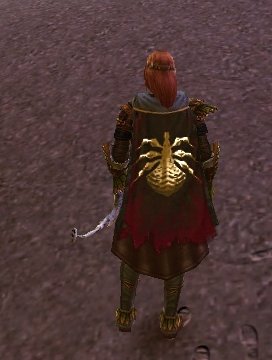 File:Guild The Dark Knights Of Pain cape.jpg