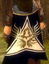File:Guild Army Of The Forgotten Souls cape.jpg