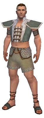File:Monk Krytan armor m gray front chest feet.jpg