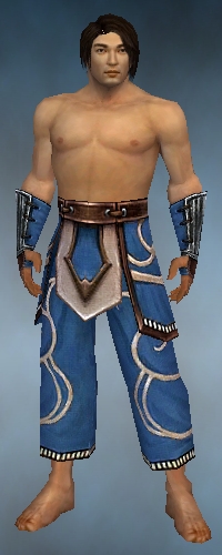Monk Shing Jea armor m blue front arms legs.jpg