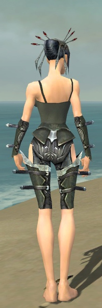 File:Necromancer Profane armor f gray back arms legs.jpg