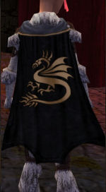 File:Guild The Dragons Of Eisengard cape.jpg