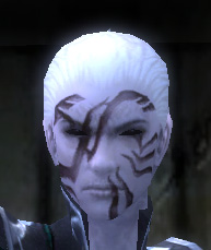 File:Necromancer Luxon armor m dyed front head.jpg