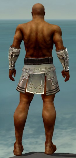 File:Warrior Istani armor m gray back arms legs.jpg