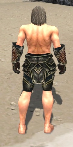 File:Warrior Kurzick armor m gray back arms legs.jpg
