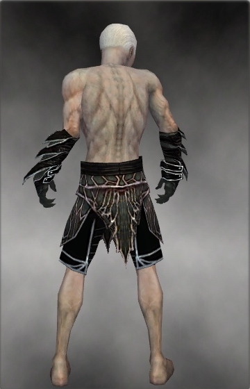 File:Necromancer Elite Luxon armor m gray back arms legs.jpg