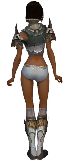 File:Paragon Norn armor f gray back chest feet.png