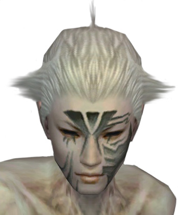 File:Necromancer Elite Luxon armor m gray front head.jpg