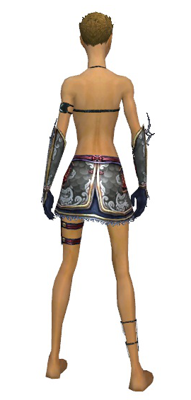 File:Assassin Monument armor f gray back arms legs.png