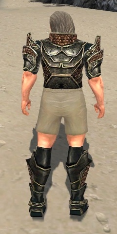 File:Warrior Kurzick armor m gray back chest feet.jpg