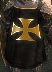 File:Guild Order Of The Dark Templar cape.jpg