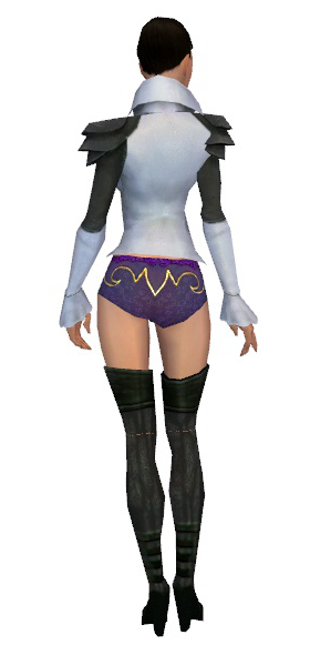 File:Mesmer Ascalon armor f gray back chest feet.png
