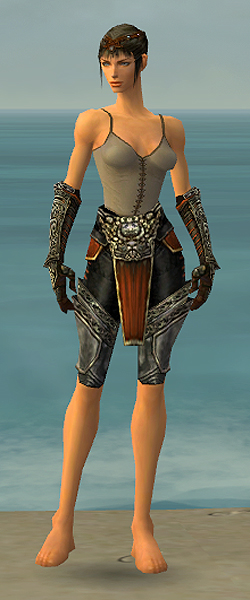 File:Warrior Elite Canthan armor f gray front arms legs.jpg