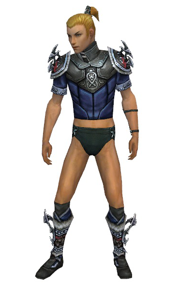 File:Assassin Norn armor m gray front chest feet.png