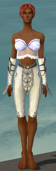 File:Elementalist Tyrian armor f gray front arms legs.jpg