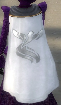 File:Guild Discoverers Of Worlds cape.jpg