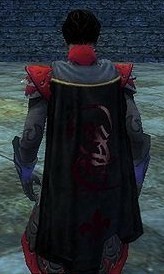 File:Guild Rulers Of Chaos And Destruction cape.jpg