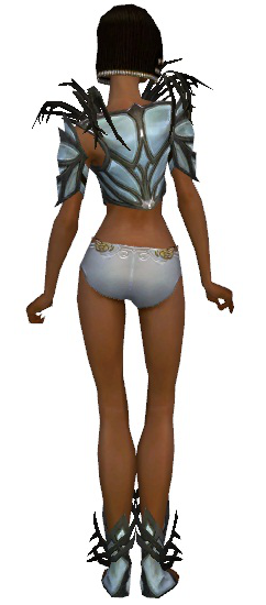 File:Paragon Primeval armor f gray back chest feet.png