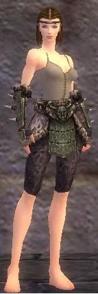 File:Warrior Elite Charr Hide armor f gray front arms legs.jpg