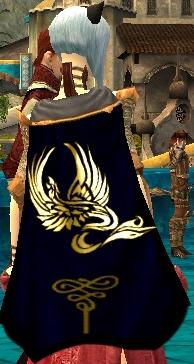 File:Guild Gods Of Legendary Destroyers cape.jpg