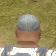 File:Monk Dragon armor m blue back head.jpg