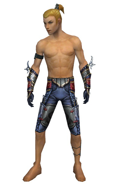 File:Assassin Monument armor m gray front arms legs.png