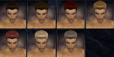 File:Ritualist factions hair color m.jpg