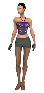 Mesmer Enchanter armor f gray front arms legs.png