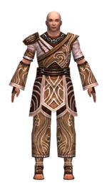 Monk Canthan armor m dyed front.jpg