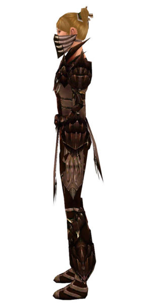 File:Ranger Primeval armor f dyed left.jpg
