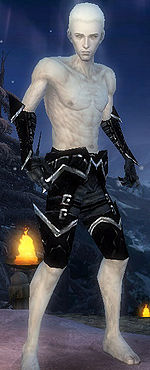 Necromancer Elite Profane armor m black front arms legs.jpg