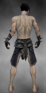 Necromancer Obsidian armor m gray back arms legs.jpg