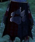 Guild Clan Of The Silver Wolves cape.jpg