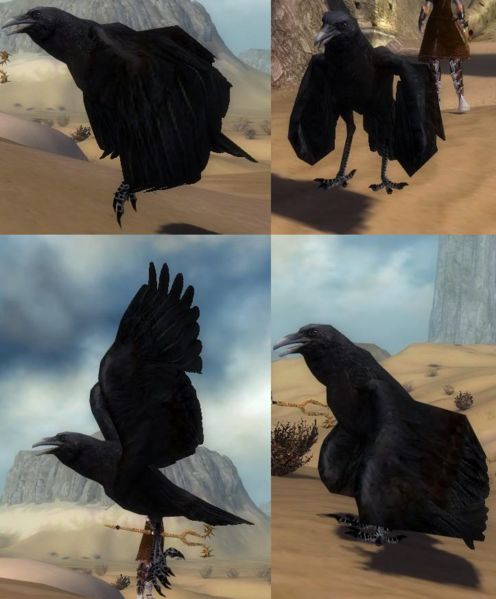 File:The Raven.JPG